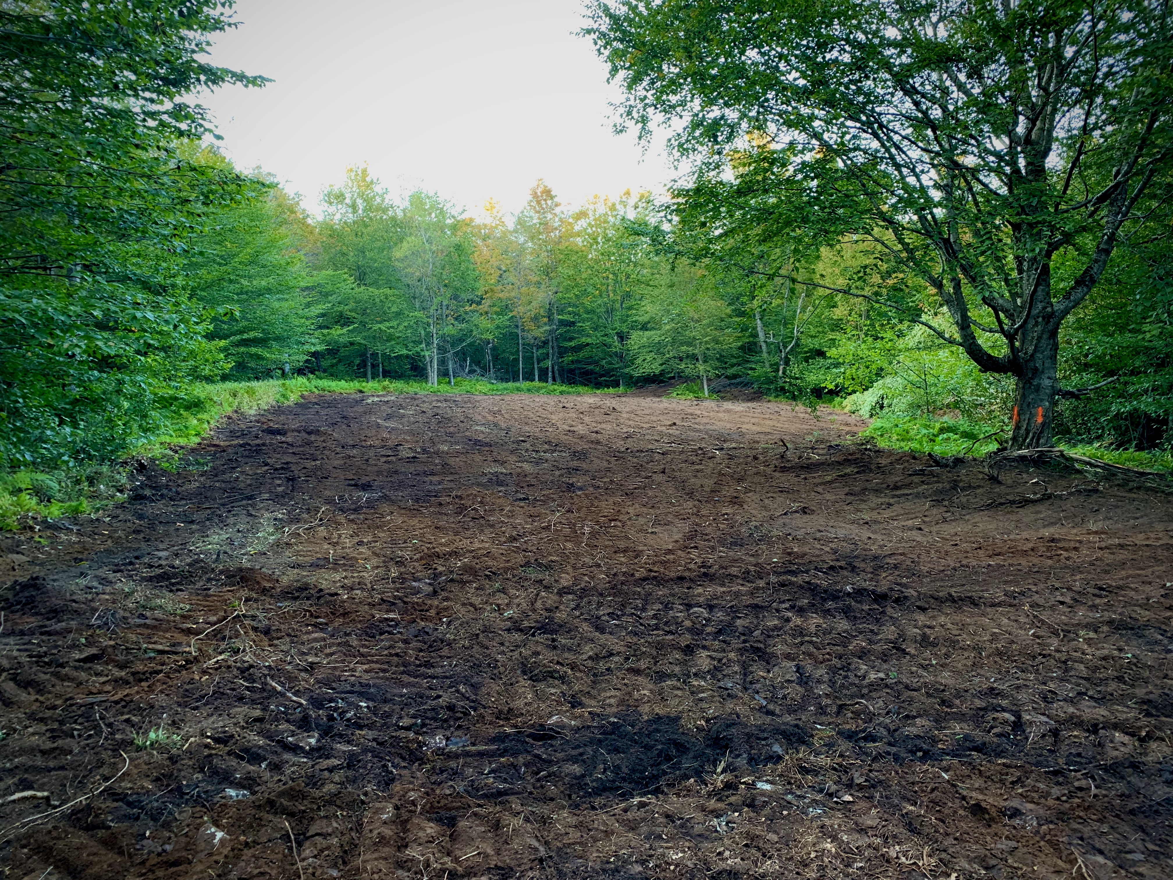 Food Plot Work